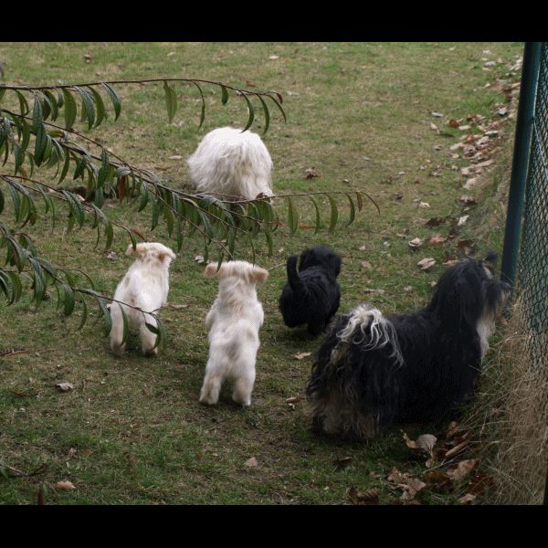 natur18032011.gif (4326915 octets)