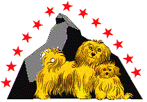 z1logo.gif (10503 octets)