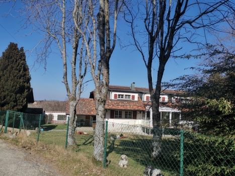 Paradis de mes bichons Havanais et Bolonais