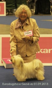 Helvetia's Paradis Best of Havanese Stars  -  Marguerite Seeberger bichons