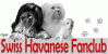 Logo Swiss Havanese Club