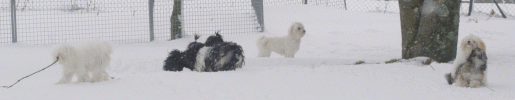 Pques 2008 sous la neige