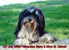 Champion Suisse Joly Joker  Mme M. Berset