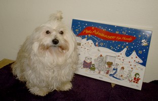 Pjuma vom alten Kino mit Adventskalender 2009
