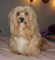 Soleil v. Zirpen 8 ans 1/2